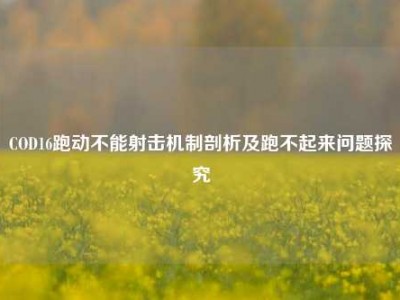 COD16跑动不能射击机制剖析及跑不起来问题探究