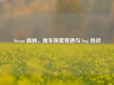 Steam 森林，推车探索奇遇与 bug 挑战