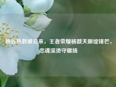 峡谷执戟破云来，王者荣耀杨戬天眼绽锋芒，忠魂滚烫守疆场
