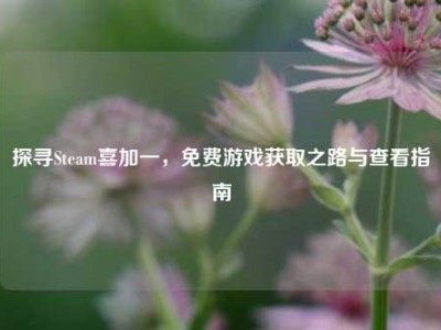 探寻Steam喜加一，免费游戏获取之路与查看指南