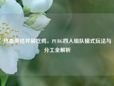 热血集结并肩吃鸡，PUBG四人组队模式玩法与分工全解析