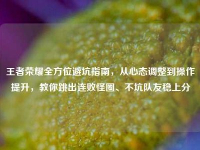 王者荣耀全方位避坑指南，从心态调整到操作提升，教你跳出连败怪圈、不坑队友稳上分