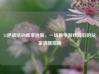 51逆战活动概率迷局，一场数字游戏背后的玩家清醒指南