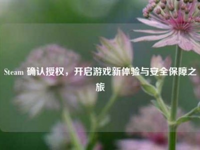 Steam 确认授权，开启游戏新体验与安全保障之旅