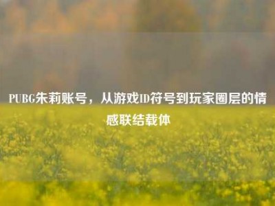 PUBG朱莉账号，从游戏ID符号到玩家圈层的情感联结载体