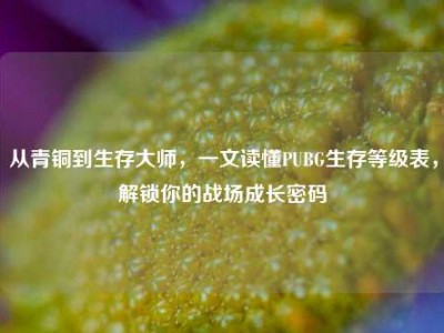 从青铜到生存大师，一文读懂PUBG生存等级表，解锁你的战场成长密码