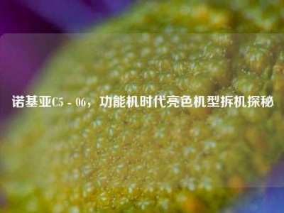 诺基亚C5 - 06，功能机时代亮色机型拆机探秘