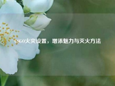 CSGO火灾设置，增添魅力与灭火方法