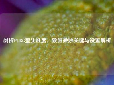 剖析PUBG歪头准度，致胜微妙关键与设置解析