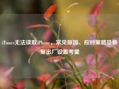 iTunes无法读取iPhone，常见原因、应对策略及恢复出厂设置考量