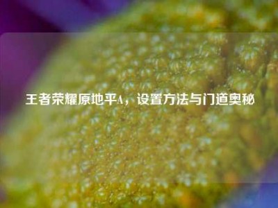 王者荣耀原地平A，设置方法与门道奥秘