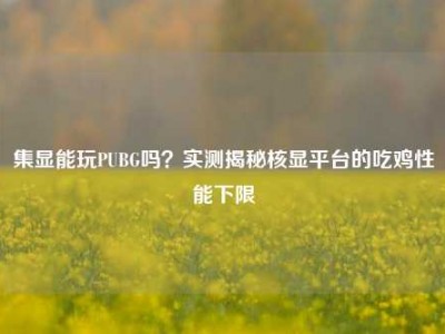 集显能玩PUBG吗？实测揭秘核显平台的吃鸡性能下限