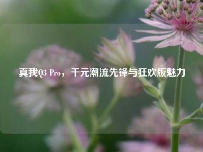 真我Q3 Pro，千元潮流先锋与狂欢版魅力