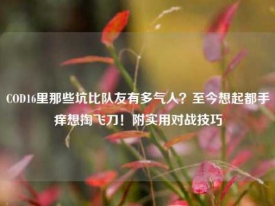COD16里那些坑比队友有多气人？至今想起都手痒想掏飞刀！附实用对战技巧