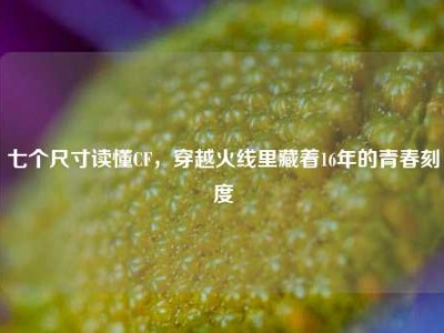 七个尺寸读懂CF，穿越火线里藏着16年的青春刻度