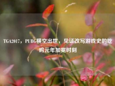 TGA2017，PUBG横空出世，见证改写游戏史的吃鸡元年加冕时刻