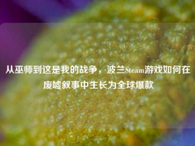 从巫师到这是我的战争，波兰Steam游戏如何在废墟叙事中生长为全球爆款