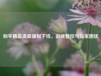 和平精英清晨强制下线，游戏管控与玩家困扰