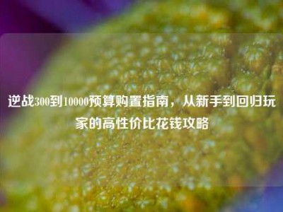 逆战300到10000预算购置指南，从新手到回归玩家的高性价比花钱攻略