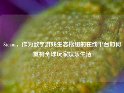 Steam，作为数字游戏生态枢纽的在线平台如何重构全球玩家娱乐生活