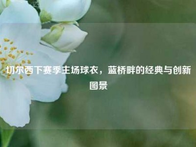 切尔西下赛季主场球衣，蓝桥畔的经典与创新图景