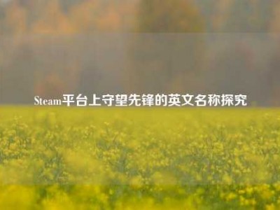 Steam平台上守望先锋的英文名称探究