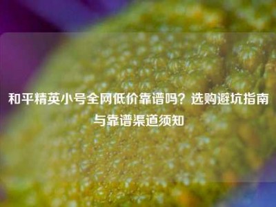 和平精英小号全网低价靠谱吗？选购避坑指南与靠谱渠道须知