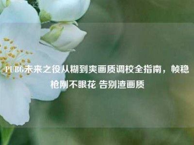 PUBG未来之役从糊到爽画质调校全指南，帧稳枪刚不眼花 告别渣画质