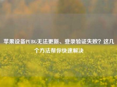 苹果设备PUBG无法更新、登录验证失败？这几个方法帮你快速解决