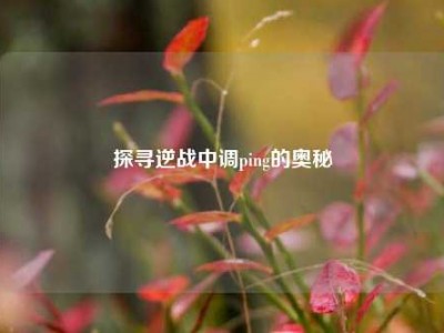 探寻逆战中调ping的奥秘