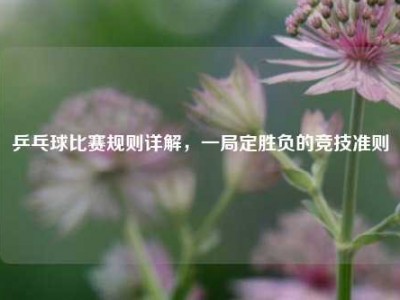 乒乓球比赛规则详解，一局定胜负的竞技准则