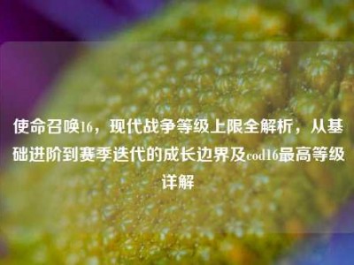 使命召唤16，现代战争等级上限全解析，从基础进阶到赛季迭代的成长边界及cod16最高等级详解