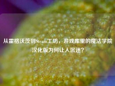 从霍格沃茨到Steam工坊，游戏库里的魔法学院汉化版为何让人沉迷？