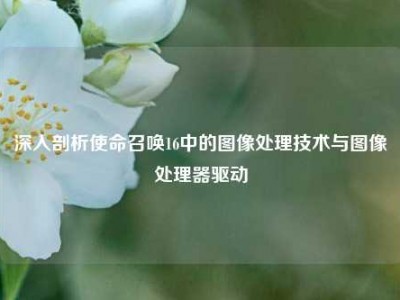 深入剖析使命召唤16中的图像处理技术与图像处理器驱动