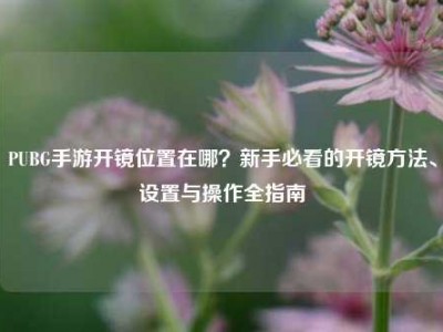PUBG手游开镜位置在哪？新手必看的开镜方法、设置与操作全指南
