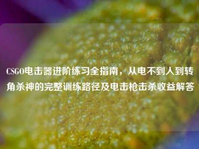 CSGO电击器进阶练习全指南，从电不到人到转角杀神的完整训练路径及电击枪击杀收益解答