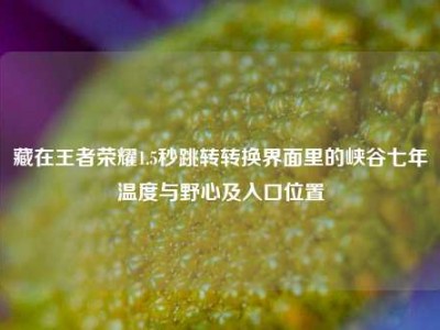 藏在王者荣耀1.5秒跳转转换界面里的峡谷七年温度与野心及入口位置