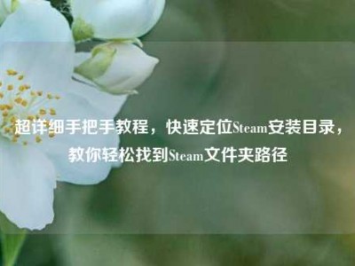 超详细手把手教程，快速定位Steam安装目录，教你轻松找到Steam文件夹路径