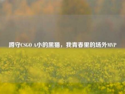 蹲守CSGO A小的黑猫，我青春里的场外MVP