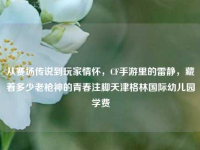 从赛场传说到玩家情怀，CF手游里的雷静，藏着多少老枪神的青春注脚天津格林国际幼儿园学费