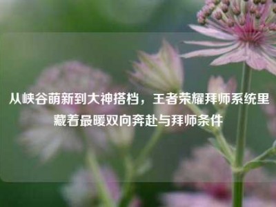 从峡谷萌新到大神搭档，王者荣耀拜师系统里藏着最暖双向奔赴与拜师条件