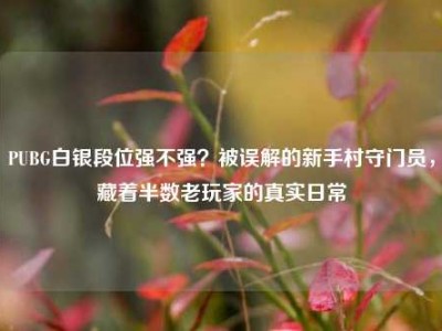 PUBG白银段位强不强？被误解的新手村守门员，藏着半数老玩家的真实日常