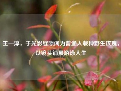 王一淳，于光影缝隙间为普通人栽种野生玫瑰，以镜头铺展游泳人生