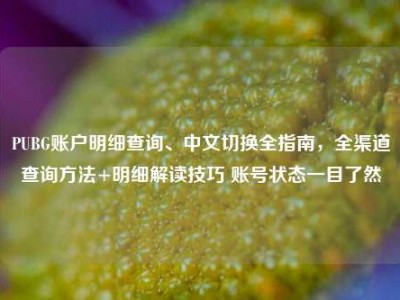 PUBG账户明细查询、中文切换全指南，全渠道查询方法+明细解读技巧 账号状态一目了然