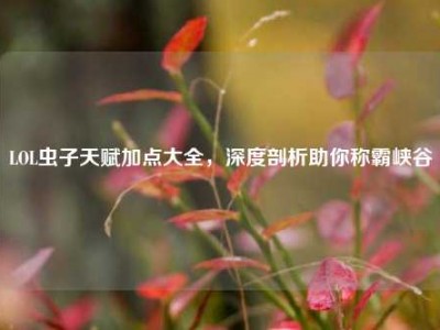 LOL虫子天赋加点大全，深度剖析助你称霸峡谷