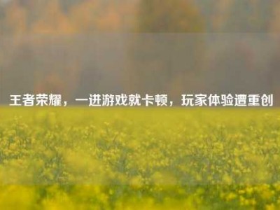 王者荣耀，一进游戏就卡顿，玩家体验遭重创