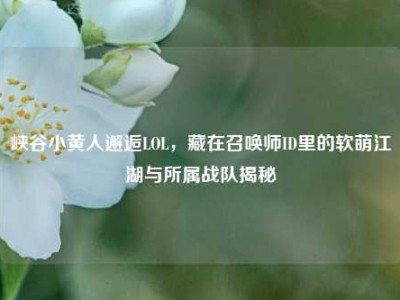 峡谷小黄人邂逅LOL，藏在召唤师ID里的软萌江湖与所属战队揭秘
