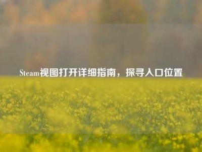 Steam视图打开详细指南，探寻入口位置
