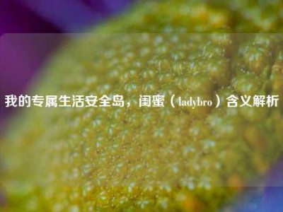 我的专属生活安全岛，闺蜜（ladybro）含义解析