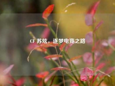 CF 苏炫，逐梦电竞之路